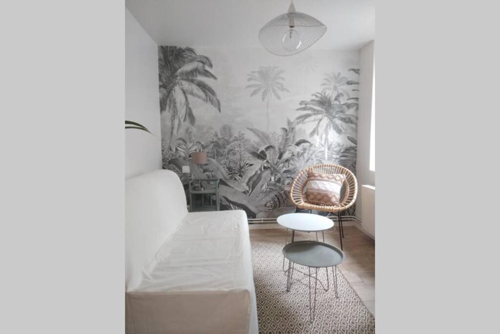 Duplex Cosy Waz'Aime Proximite Commerces Et Metro Cormontaigne Ou Gambetta Apartment Lille Bagian luar foto