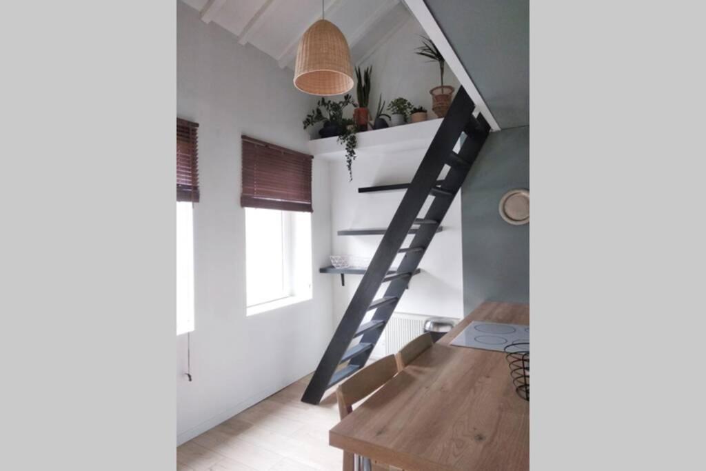 Duplex Cosy Waz'Aime Proximite Commerces Et Metro Cormontaigne Ou Gambetta Apartment Lille Bagian luar foto